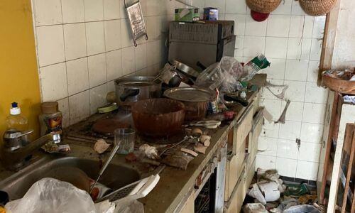 Messie Wohnungsauflösung St. Pölten